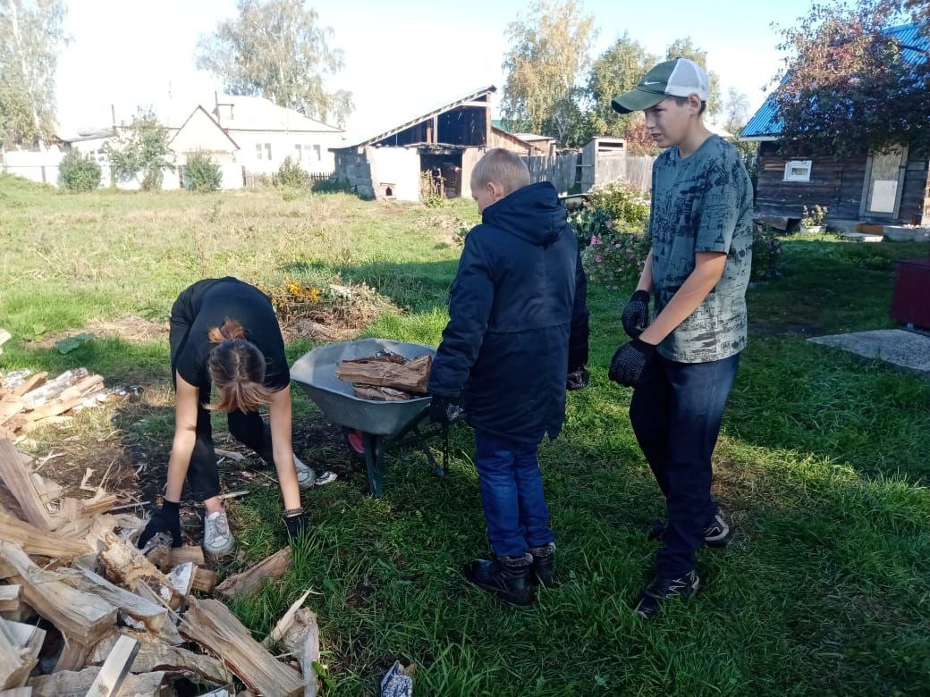 Волонтёрская помощь.